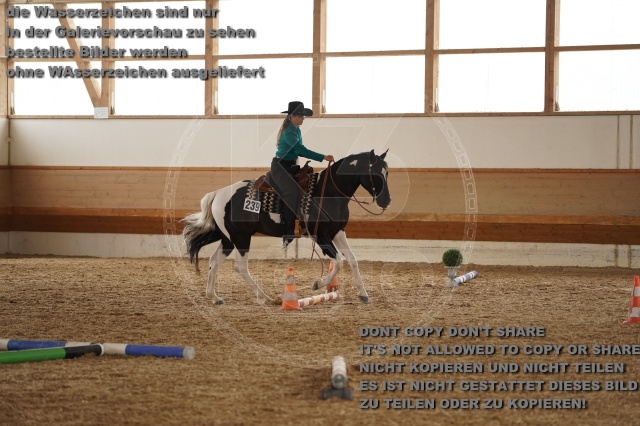 s_A_901795.JPG